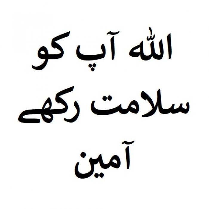 Noshahi Tech instore deal on